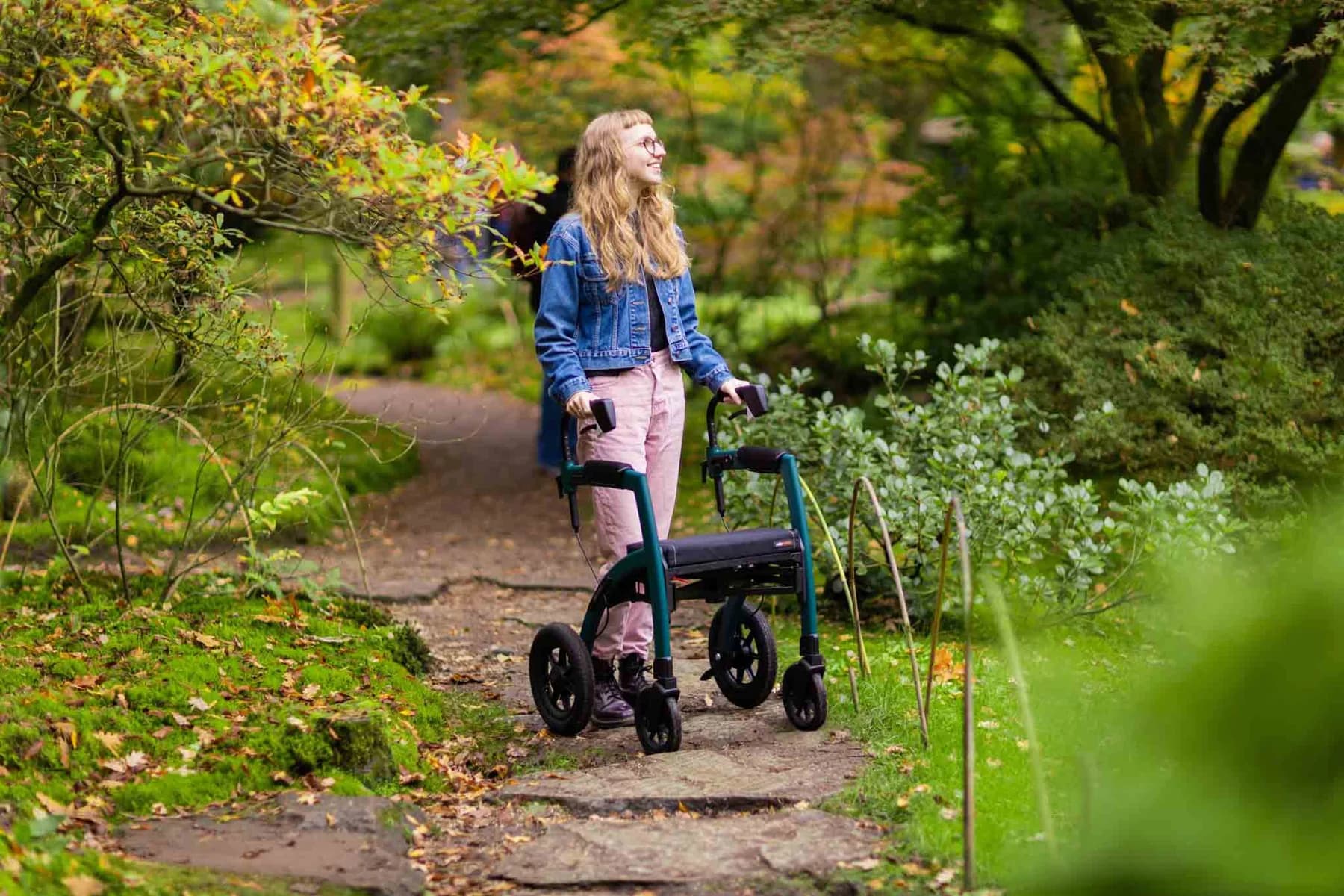 rollator kaufen