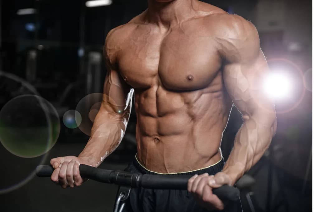 Myostatin Blocker kaufen bei Fatburnerking – Der Schlüssel zum Muskelaufbau