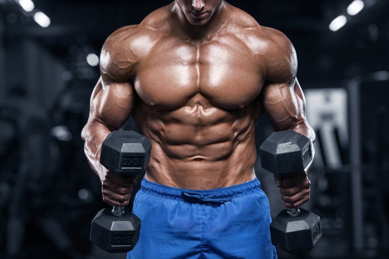 Myostatin Blocker: Der Weg zu mehr Muskeln und besserem Training