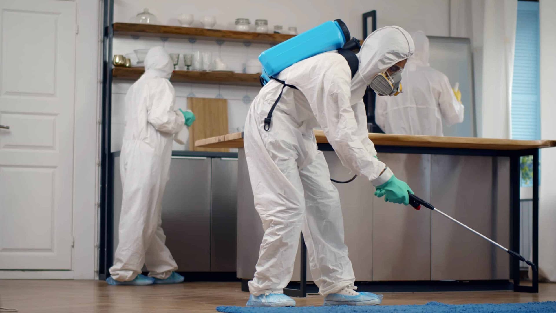 Kammerjäger in der Nähe: Kompetente Hilfe für ein sicheres und sauberes Zuhause