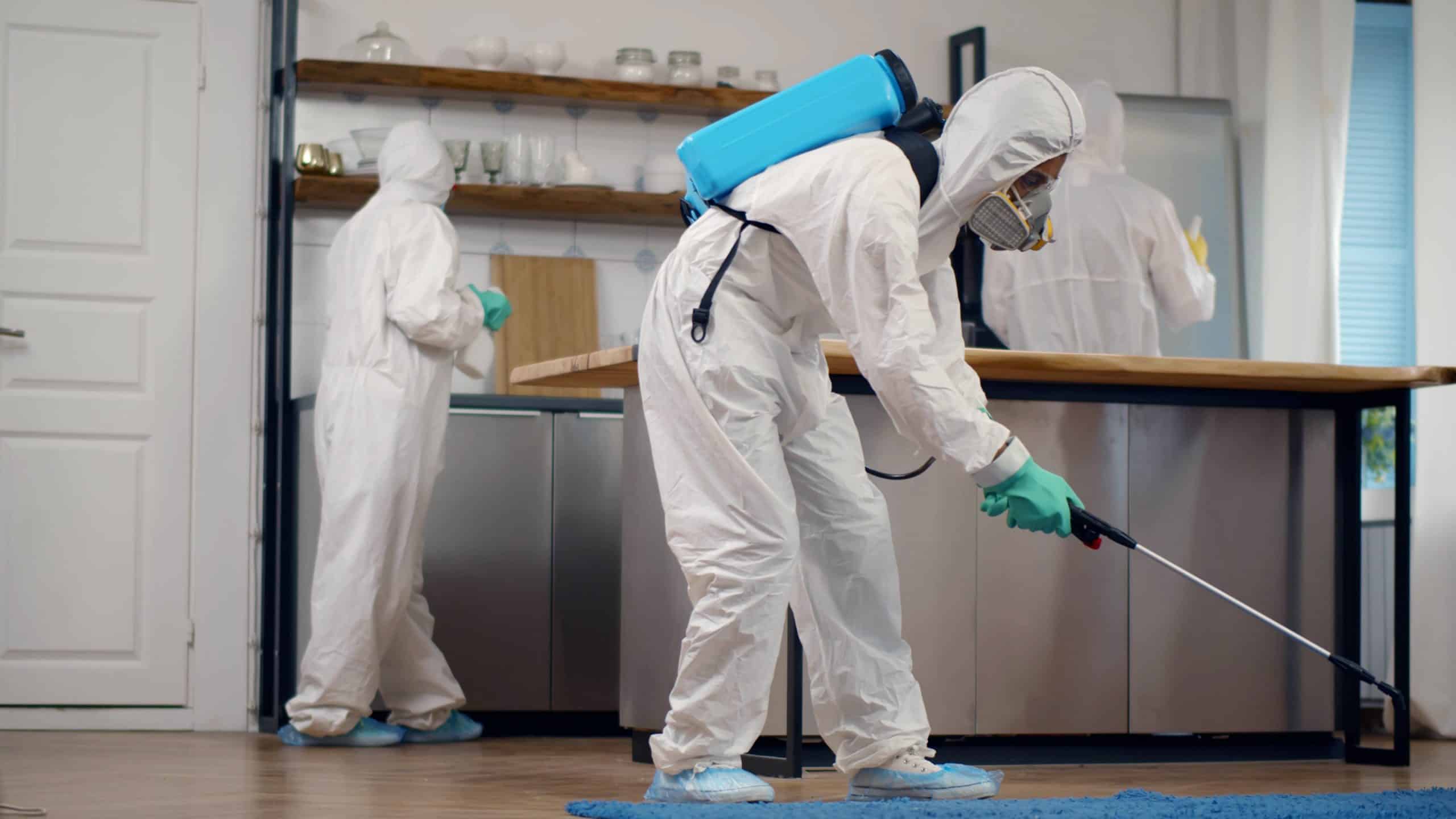 Kammerjäger in der Nähe: Kompetente Hilfe für ein sicheres und sauberes Zuhause