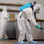 Kammerjäger in der Nähe: Kompetente Hilfe für ein sicheres und sauberes Zuhause