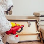 Kammerjäger Notdienst: Ihre Experten für Notfälle und Schädlingsbekämpfung